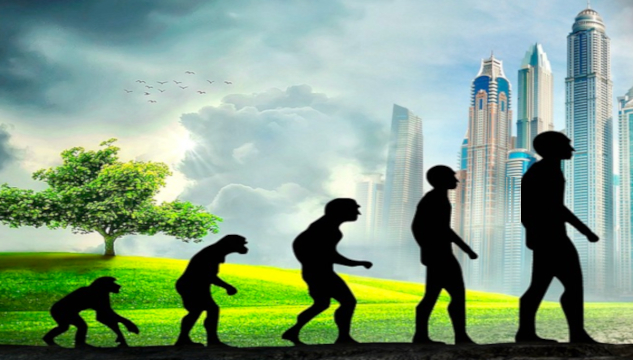 Image showing evolution from ape to man.&nbsp;Image by Stefan Keller from Pixabay.&nbsp;